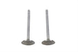 Manley 883cc Stainless Steel Intake Valves - additional view 3