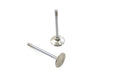 Manley Stainless Steel Exhaust Valves