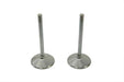 Manley Stainless Steel Intake Valves