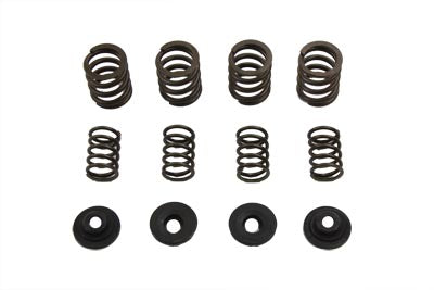 Manley Valve Spring Set