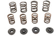 Manley Valve Spring Kit