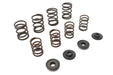 Manley Valve Spring Kit - additional view 3
