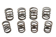 V-Twin Manufacturing Valve Spring Kit