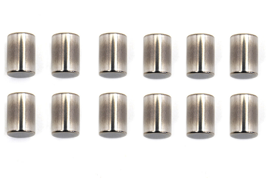 Eastern Standard Engine Case Roller Bearings Left Side