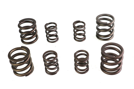 Sifton Sifton Valve Spring