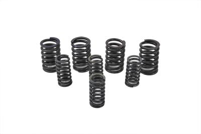 Eastern Valve Spring Kit - additional view 2