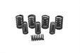 Eastern Valve Spring Kit - additional view 3