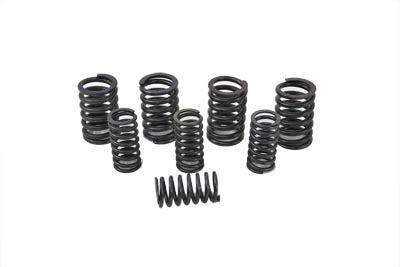 Eastern Valve Spring Kit - additional view 3