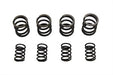 Eastern Valve Spring Set