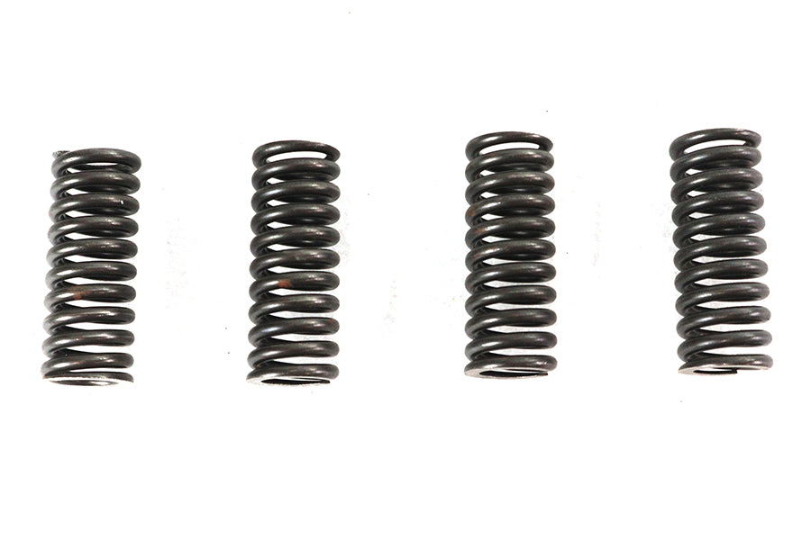 Eastern Valve Spring Set - additional view 2