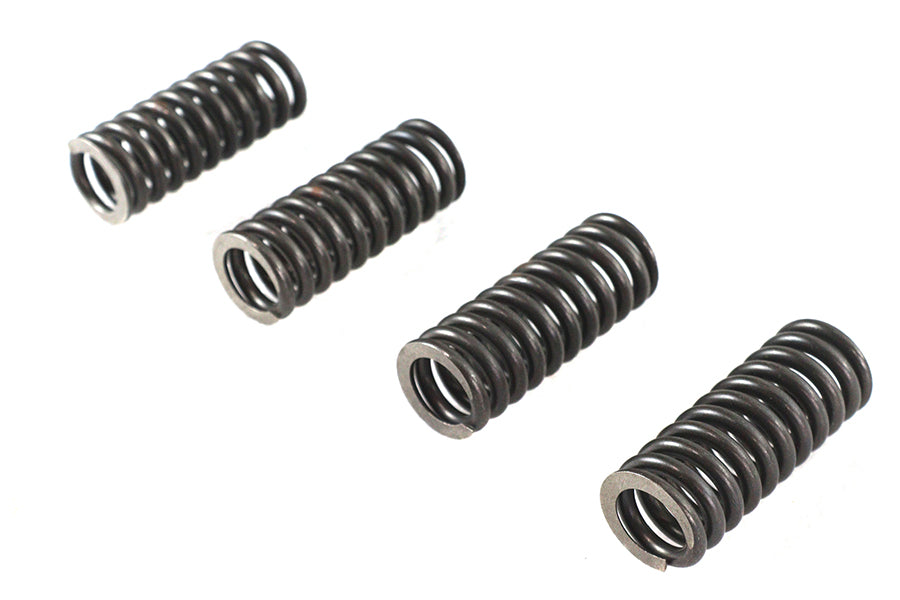 Eastern Valve Spring Set - additional view 3