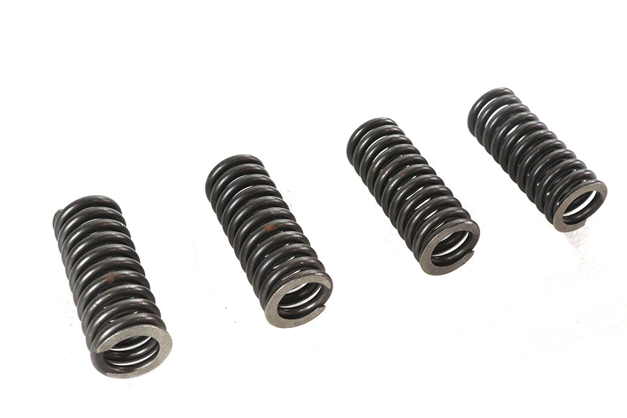 Eastern Valve Spring Set - additional view 4