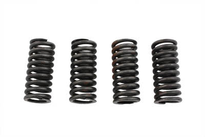 Eastern Valve Spring Set
