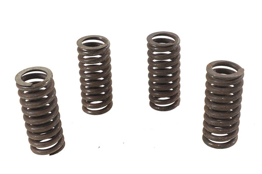 Eastern Valve Spring Set - additional view 2