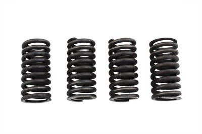 Eastern Valve Spring Set