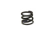Eastern Lower Fork Slider Springs