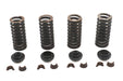 Eastern Valve Spring Kit