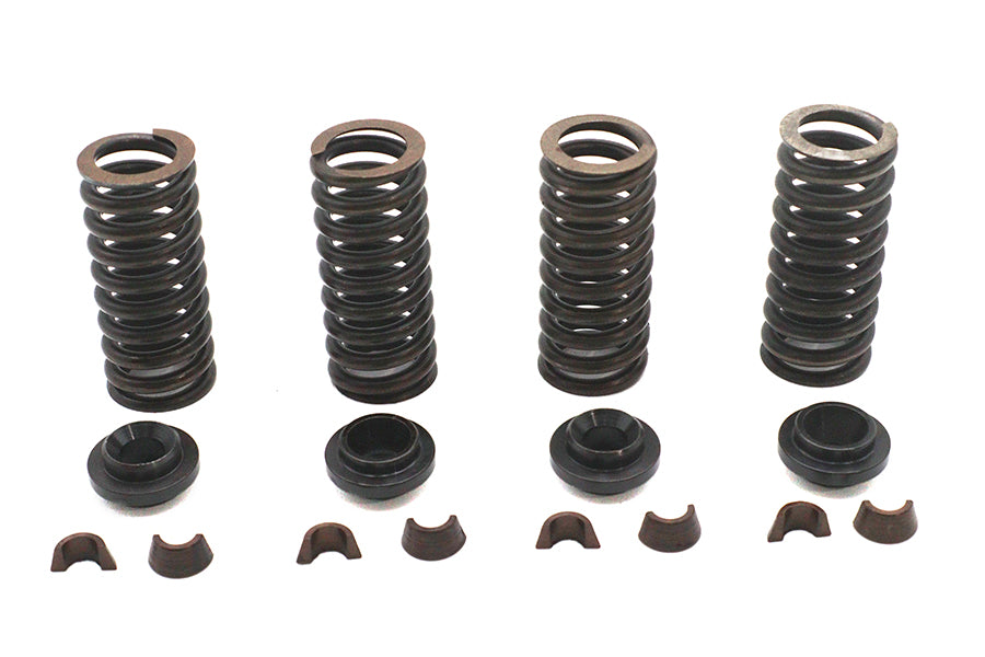 Eastern Valve Spring Kit