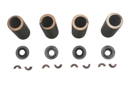Eastern Valve Spring Kit - additional view 2