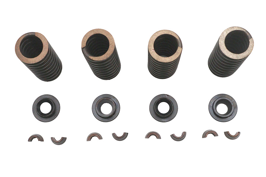 Eastern Valve Spring Kit - additional view 2