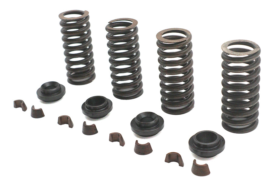 Eastern Valve Spring Kit - additional view 3