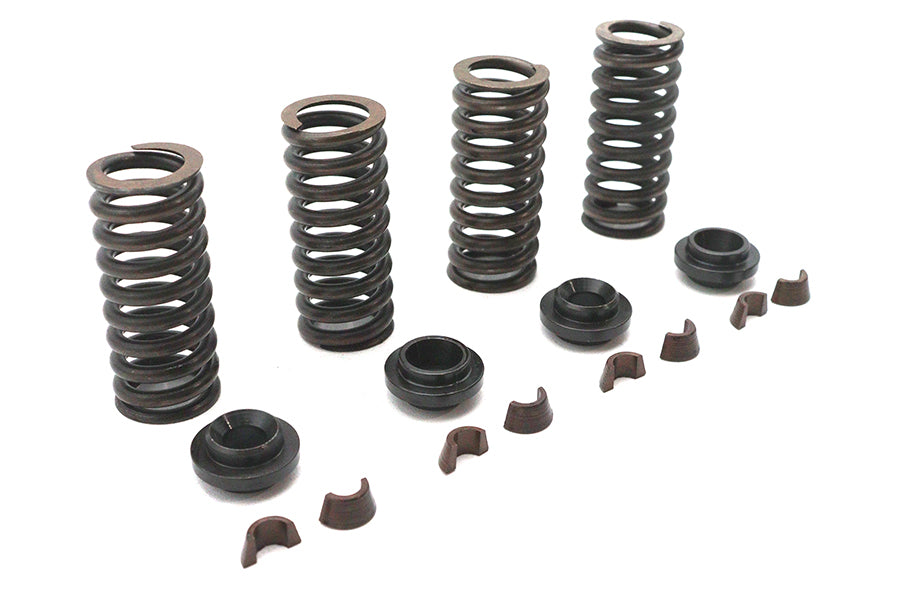 Eastern Valve Spring Kit - additional view 4