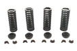Eastern Valve Spring Kit