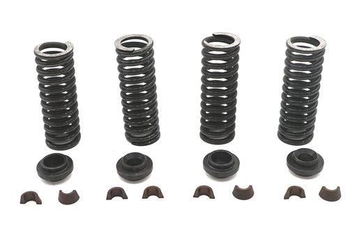 Eastern Valve Spring Kit