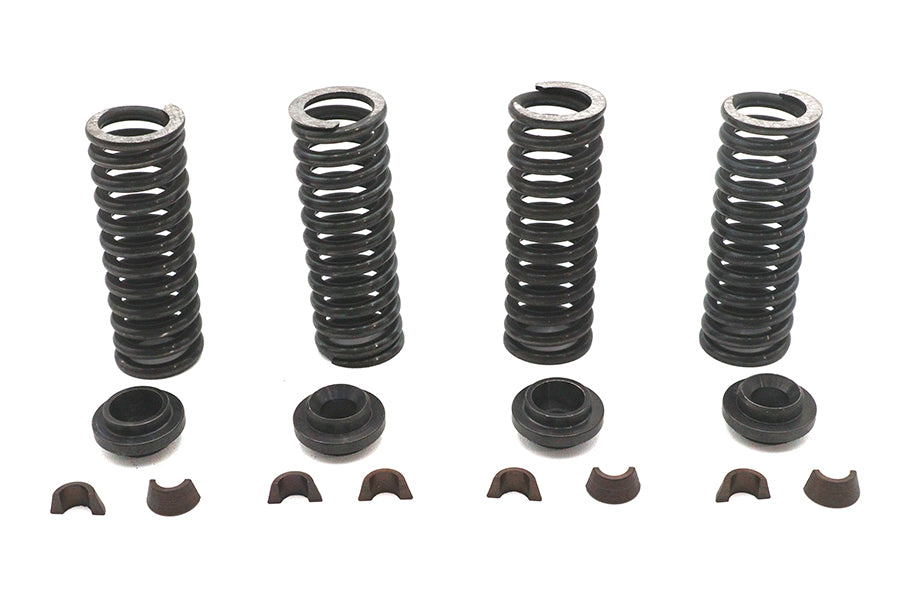 Eastern Valve Spring Kit