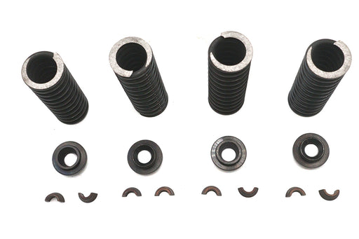 Eastern Valve Spring Kit - additional view 2