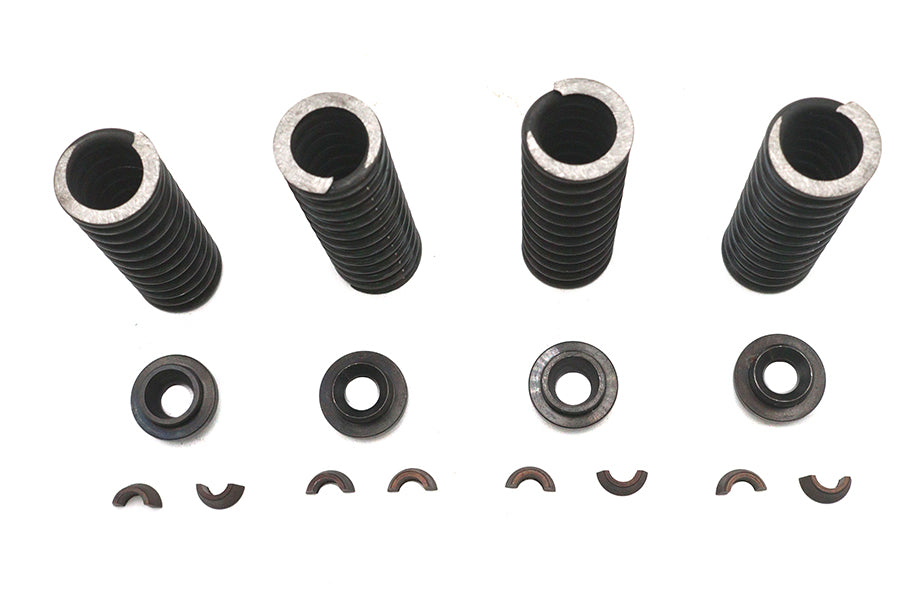 Eastern Valve Spring Kit - additional view 2
