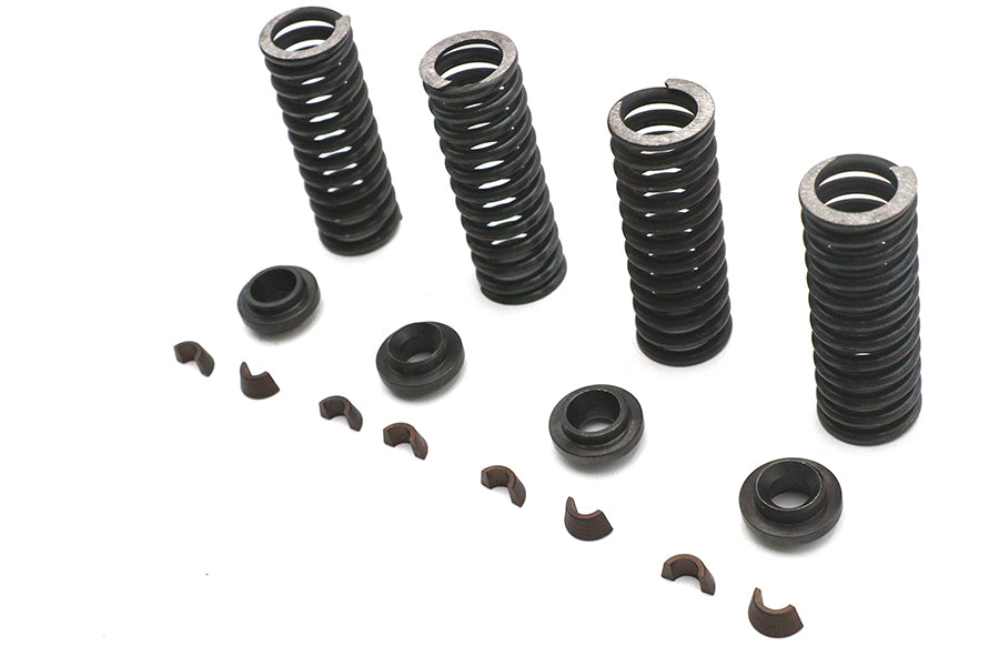 Eastern Valve Spring Kit - additional view 3