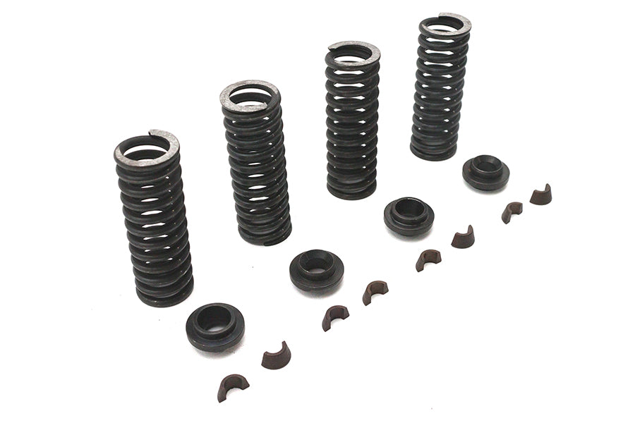 Eastern Valve Spring Kit - additional view 4