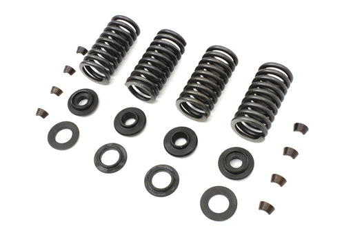 Eastern Valve Spring Kit - additional view 2