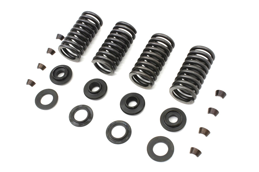 Eastern Valve Spring Kit - additional view 2