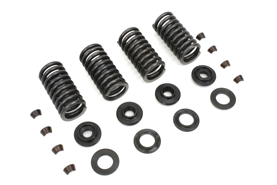 Eastern Valve Spring Kit - additional view 3