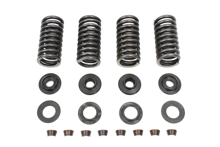 Eastern Valve Spring Kit - additional view 4