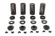 Eastern Valve Spring Kit