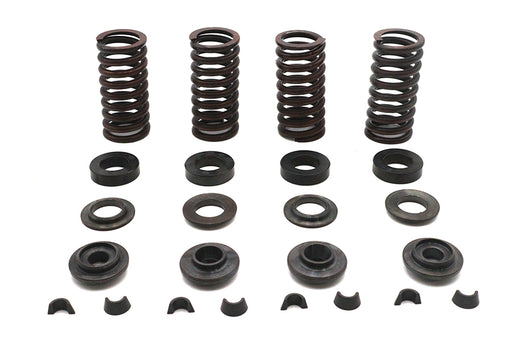 Eastern Valve Spring Kit