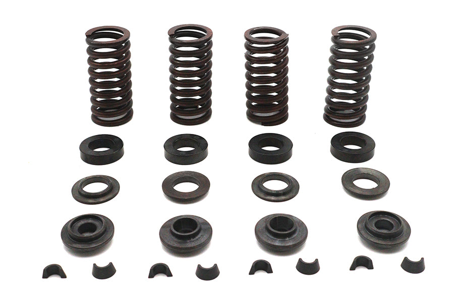 Eastern Valve Spring Kit