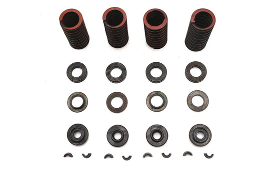 Eastern Valve Spring Kit - additional view 2