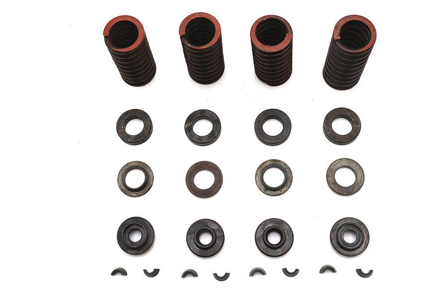 Eastern Valve Spring Kit - additional view 2