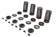 Eastern Valve Spring Kit - additional view 3