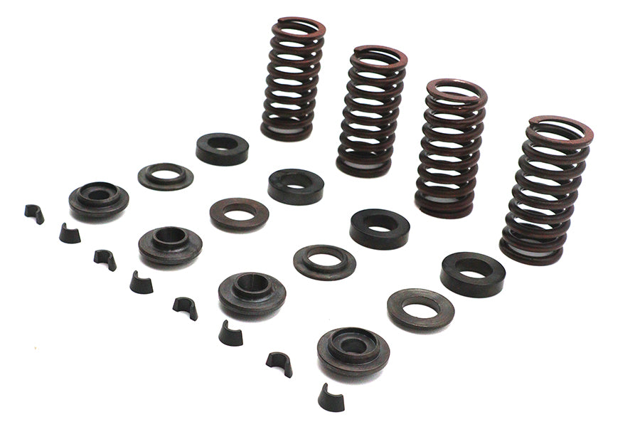 Eastern Valve Spring Kit - additional view 3