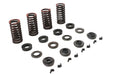 Eastern Valve Spring Kit - additional view 4