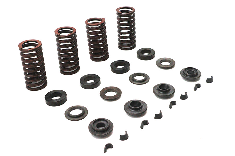 Eastern Valve Spring Kit - additional view 4