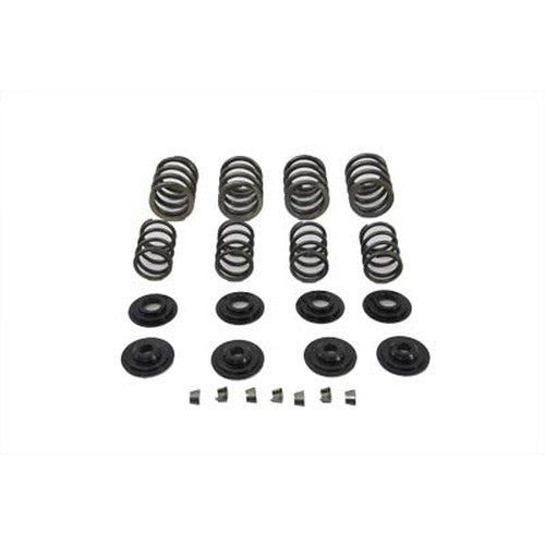 Valve Spring Kit - V-Twin 13-9193