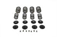 V-Twin Manufacturing Valve Spring Kit