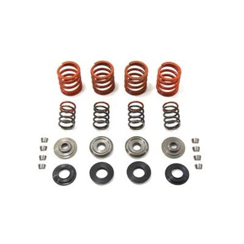 Valve Spring Kit - V-Twin 13-9195