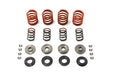 V-Twin Manufacturing Valve Spring Kit